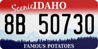 ID license plate 8B5073O