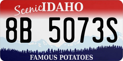 ID license plate 8B5073S