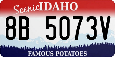 ID license plate 8B5073V