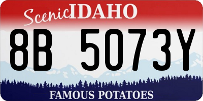 ID license plate 8B5073Y