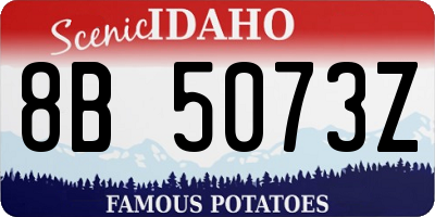 ID license plate 8B5073Z