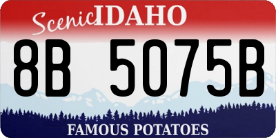 ID license plate 8B5075B
