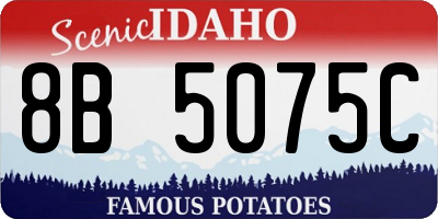ID license plate 8B5075C