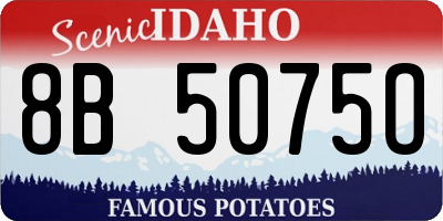 ID license plate 8B5075O