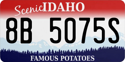 ID license plate 8B5075S