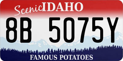 ID license plate 8B5075Y