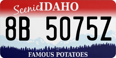 ID license plate 8B5075Z