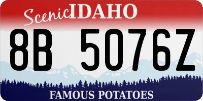 ID license plate 8B5076Z
