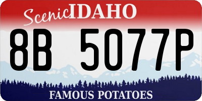 ID license plate 8B5077P