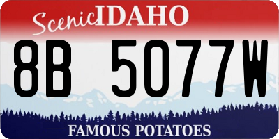 ID license plate 8B5077W