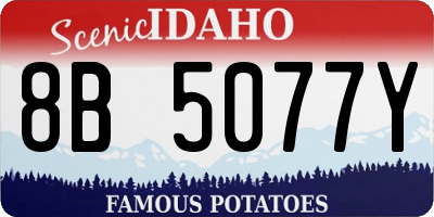 ID license plate 8B5077Y