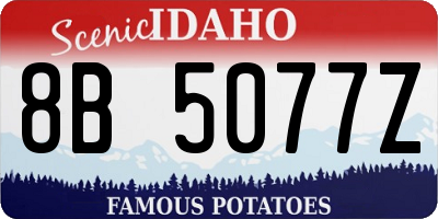 ID license plate 8B5077Z