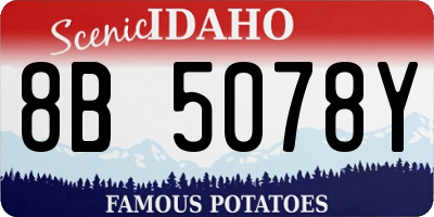 ID license plate 8B5078Y