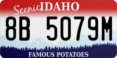 ID license plate 8B5079M
