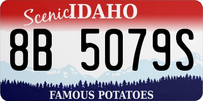ID license plate 8B5079S