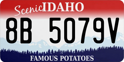 ID license plate 8B5079V
