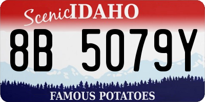 ID license plate 8B5079Y