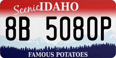 ID license plate 8B5080P