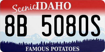ID license plate 8B5080S