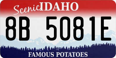 ID license plate 8B5081E