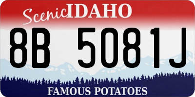 ID license plate 8B5081J