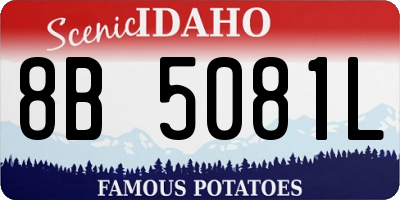 ID license plate 8B5081L