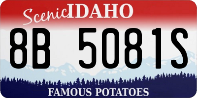 ID license plate 8B5081S