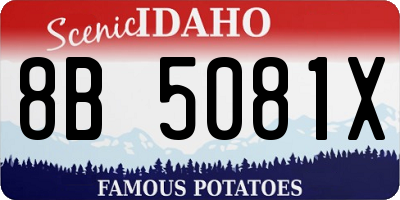 ID license plate 8B5081X