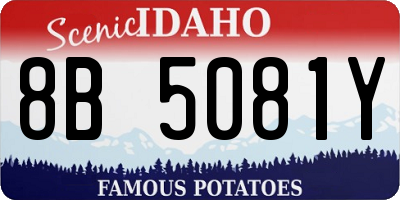 ID license plate 8B5081Y