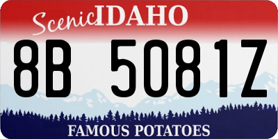 ID license plate 8B5081Z