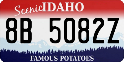 ID license plate 8B5082Z