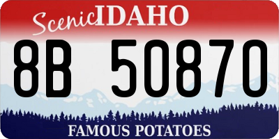 ID license plate 8B5087O