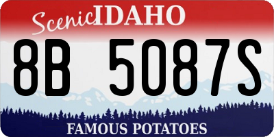ID license plate 8B5087S
