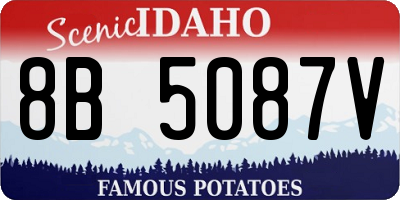 ID license plate 8B5087V