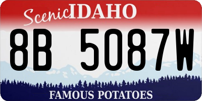 ID license plate 8B5087W