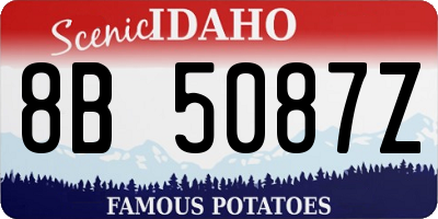 ID license plate 8B5087Z