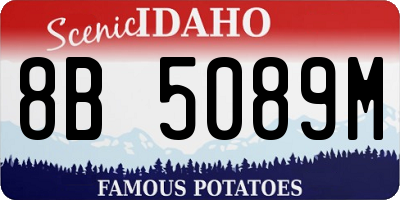 ID license plate 8B5089M