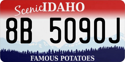 ID license plate 8B5090J