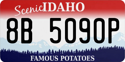 ID license plate 8B5090P