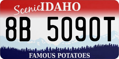 ID license plate 8B5090T