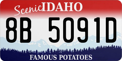 ID license plate 8B5091D