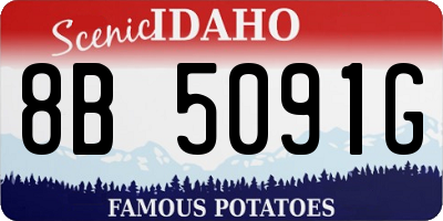 ID license plate 8B5091G