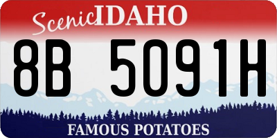 ID license plate 8B5091H