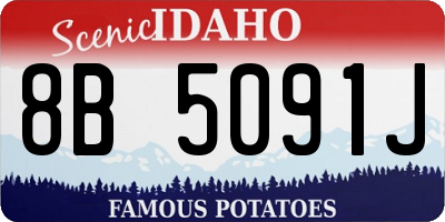 ID license plate 8B5091J