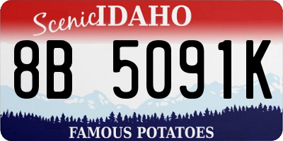 ID license plate 8B5091K