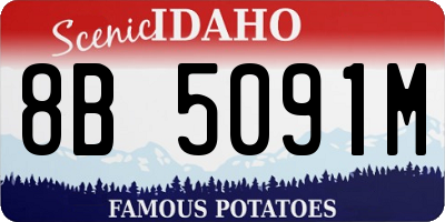 ID license plate 8B5091M