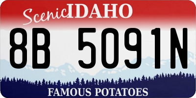 ID license plate 8B5091N