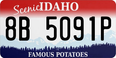 ID license plate 8B5091P