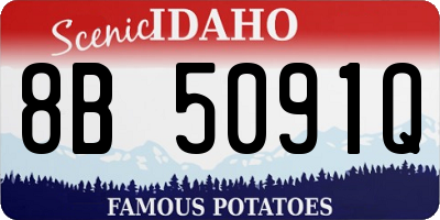 ID license plate 8B5091Q