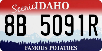 ID license plate 8B5091R